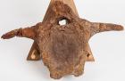 Dinosaur Tail Vertebrae