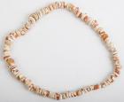 White Shell Necklace from the Rappahannock River Mound Museum Collection