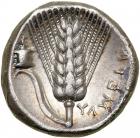 Metapontum. 330-290 BC. Silver Stater (7.71 g). VF - 2