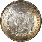 1885 Morgan Dollar. NGC MS64 - 2