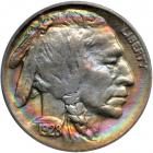 1928-D Buffalo Nickel. PCGS MS62