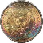 1904-O Morgan Dollar. NGC MS64 - 2