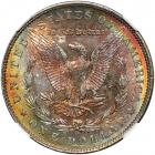 1904-O Morgan Dollar. NGC MS63 - 2