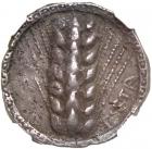 Lucania, Metapontion. Silver Nomos (8.06 g), ca. 510-470 BC