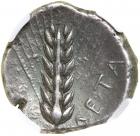 Lucania, Metapontion. Silver Nomos (7.86 g), ca. 430-400 BC - 2