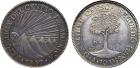 Central American Republic (Guatemala). Silver 8-Reales, 1847/6 NG A.