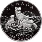 Canada. Platinum 300 Dollars, 1993 - 2