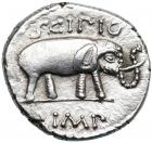 Q. Metellus Pius Scipio. Silver Denarius (3.6 g), 47-46 BC - 2