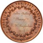 Hawaii. 1883 Royal Hawaiian Agricultural Society Bronze Medal - 2