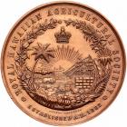 Hawaii. 1883 Royal Hawaiian Agricultural Society Bronze Medal