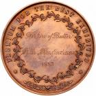 Hawaii. 1883 Royal Hawaiian Agricultural Society Bronze Medal - 2