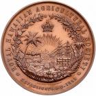 Hawaii. 1883 Royal Hawaiian Agricultural Society Bronze Medal