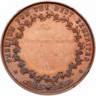 Hawaii. 1883 Royal Hawaiian Agricultural Society Bronze Medal - 2