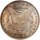 1891 Morgan $1 PCGS MS64 - 2