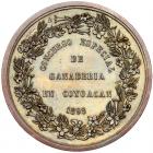 Argentina. Medal, 1898 About Unc - 2