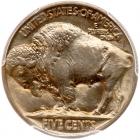 1915 Buffalo 5C PCGS MS67 - 2