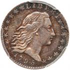 1795 Flowing Hair H10C PCGS AU50