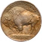 1913-D Buffalo 5C. Type 1 PCGS MS64 - 2