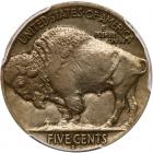 1913-D Buffalo 5C. Type 2 PCGS AU53 - 2