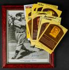 Baseball Sports Collection