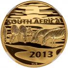 South Africa. Natura Set: 100, 50, 20 and 10 Rand, 2013 NGC PF70 UC - 2