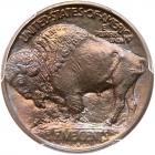 1913-S Buffalo 5C. Type 1 PCGS MS66 - 2