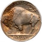 1937-D Buffalo 5C. 3 Legs PCGS MS64 - 2