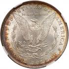 1881 Morgan $1 NGC MS64 - 2