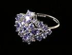 Lady's Tanzanite, 14K White Gold Cluster Ring