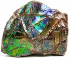 Iridescent Green, Purple and Blue Ammolite