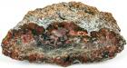 Colorful Dinosaur Coprolite