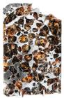 Pallasovka Pallasite Meteorite