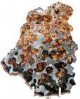 Meteorite American Pallasite Brenham