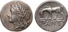 Black Sea Region, Cimmerian Bosporos, Pantikapaion (c.355-340 BC). Silver Tetradrachm, 15.75g, 11h. Laureate head of Ap