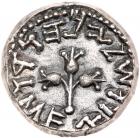 Judaea, Jewish War. Silver 1/2 Shekel (6.79 g), 66-70 CE EF - 2