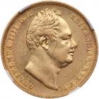 Great Britain. Sovereign, 1831 NGC EF