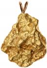 WITHDRAWN - 1.3 ozt Natural Gold Nugget Pendant