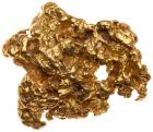 .22 Gold Nugget