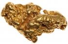 .36 Gold Nugget