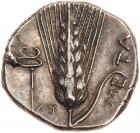 Lucania, Metapontion. Silver Nomos (7.75 g), ca. 340-330 BC EF - 2