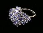 Lady's Tanzanite, 14K White Gold Cluster Ring - 2