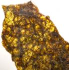 Gem Quality Crystals in Vesta Meteorite