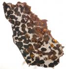 Meteorite Admire Pallasite