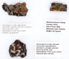 Three Different Pallasite Meteorites