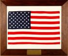 1965 GT-7 large FLOWN USA flag