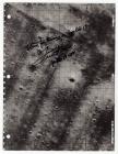 Fred Haise signed lunar surface map