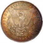 1891 Morgan $1 PCGS MS64 - 2