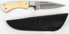 Beauchamp Premium Hunting Knife with Handsome Plain Handle