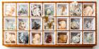 21 Small /Medium Cabinet Mineral Specimens