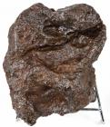 Meteorite, 21 Lb. Campo Del Cielo